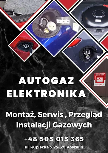 Autogaz elektronika